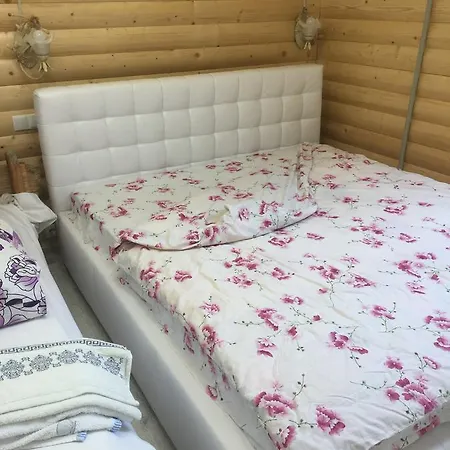 Лісова Мавка ロッジ *